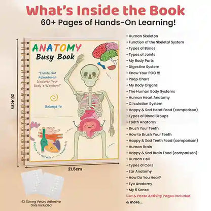 Human Anatomy Busy Book