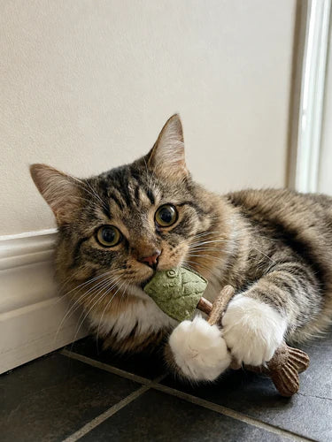 Cat chewing silvervine toy