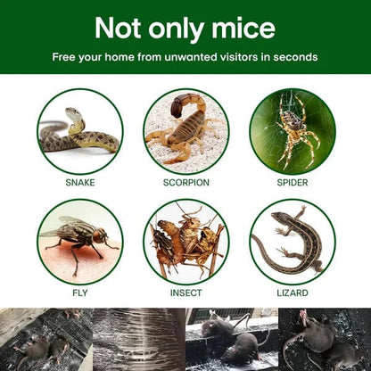 🔥On Sale🔥Household Mono-woven Strong Trap Sticky Mouse Fill