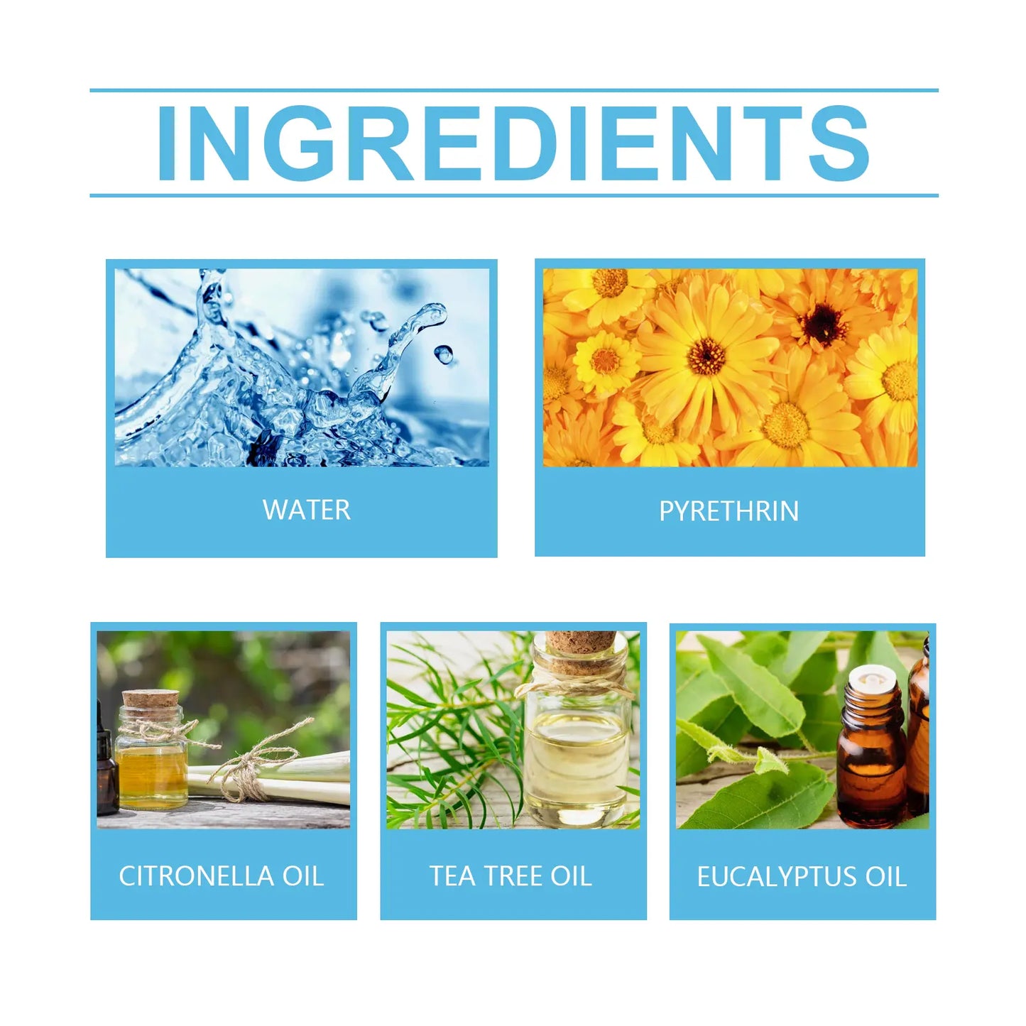 Bed Bug Killer Spray - Plant-Based, Safe for Kids & Pets