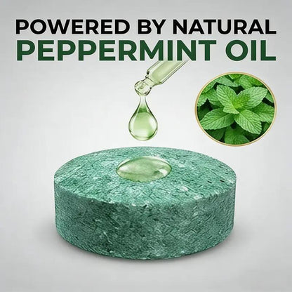 🌿12-Pack Natural Rodent Repellent Balls – Maximum Strength Peppermint Oil Pest Deterrent