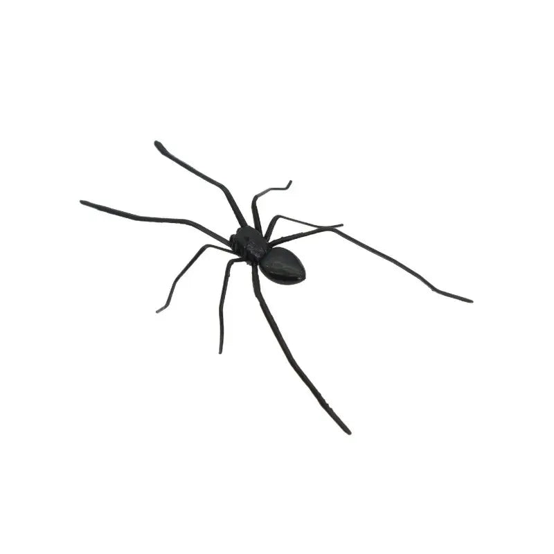 Funny Magnetic Spider Car Decor, Removable Magnet for Cars & Trucks ✅