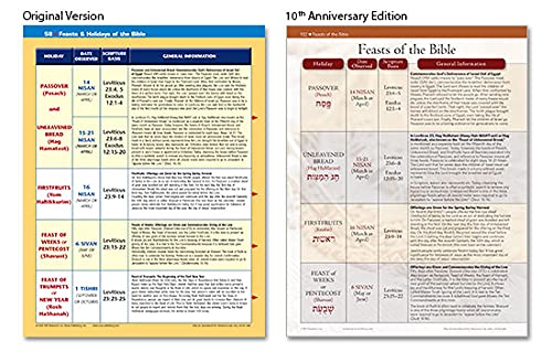 Rose Bible Charts Reference Guide