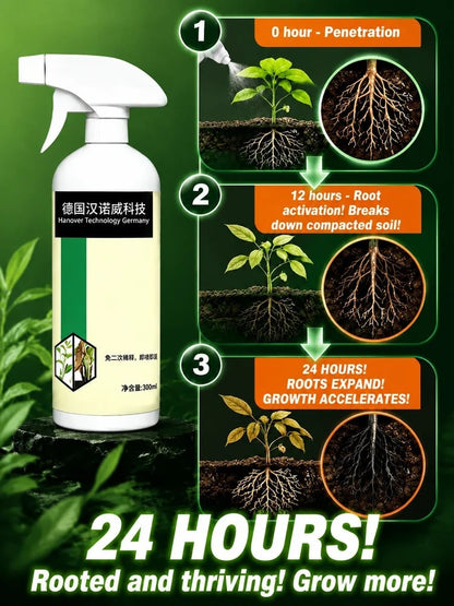 🔥HOT SALE🔥Tree Bamboo Grass Spray