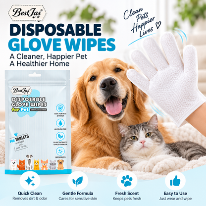 🐶 Wipe Away Pet Messes in Seconds! 🧤🛒