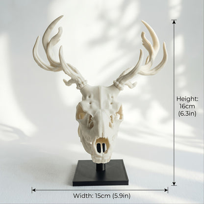 🫎Handcrafted Double Deer Skull Specimen Set - Gothic Wendigo & Elk Desktop Sculpture