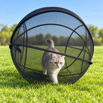 🐱360° Panoramic Pop-Up Rolling Cat Playpen Ball🐾