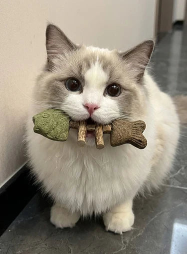 Cat carrying catnip chew toy