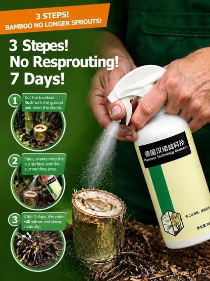 🔥HOT SALE🔥Tree Bamboo Grass Spray