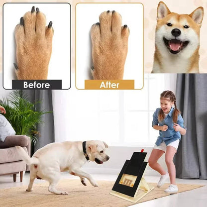 Dog Nail Scratch Board with Treat Box – Stress Free Nail Filing for Dogs