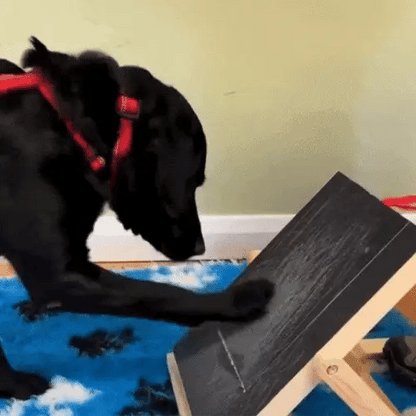 Dog Nail Scratch Board with Treat Box – Stress Free Nail Filing for Dogs