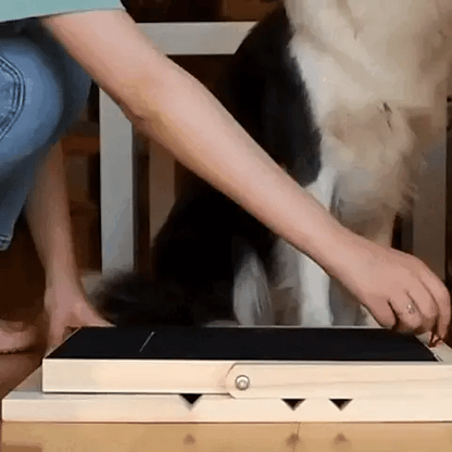 Dog Nail Scratch Board with Treat Box – Stress Free Nail Filing for Dogs