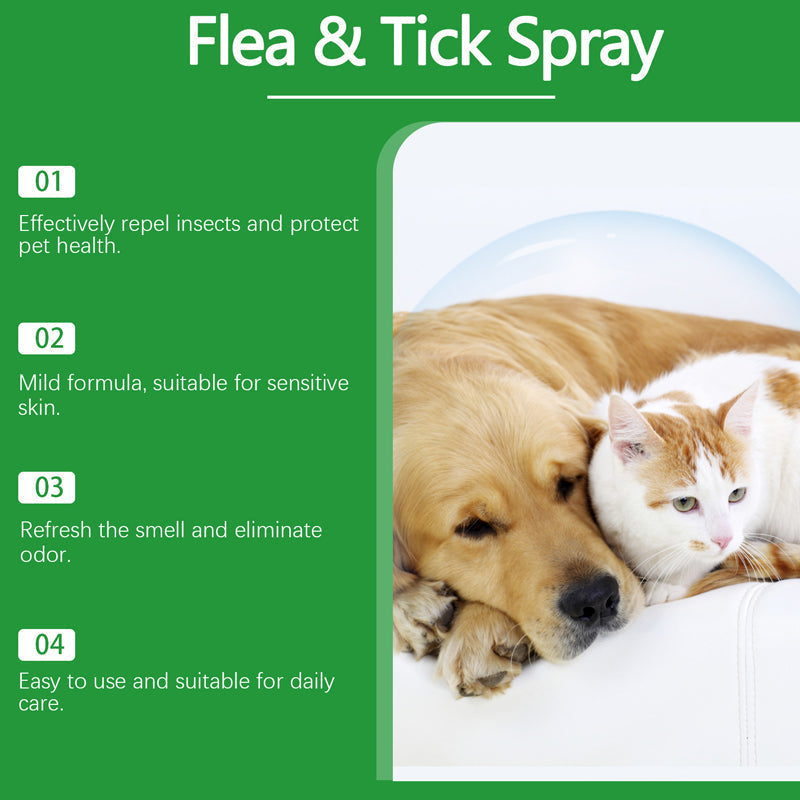 🍃Natural Flea & Tick Foam for Dogs and Cats🐾 Keep Your Beloved Pet Free from Pests