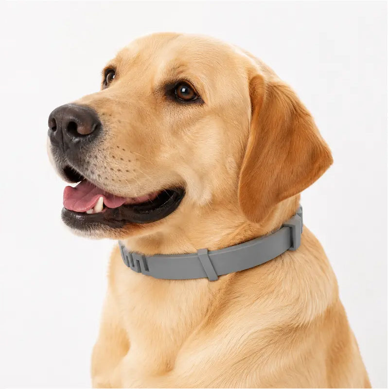 Adjustable Flea & Tick Collars for Dogs & Cats