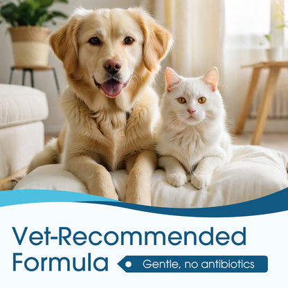 🔥🎁New! 50% OFF🔥Ear Cleaner for Dogs and Cats to Relieve Itching